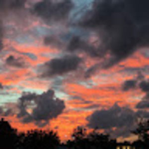 Meet your Posher, Julianna